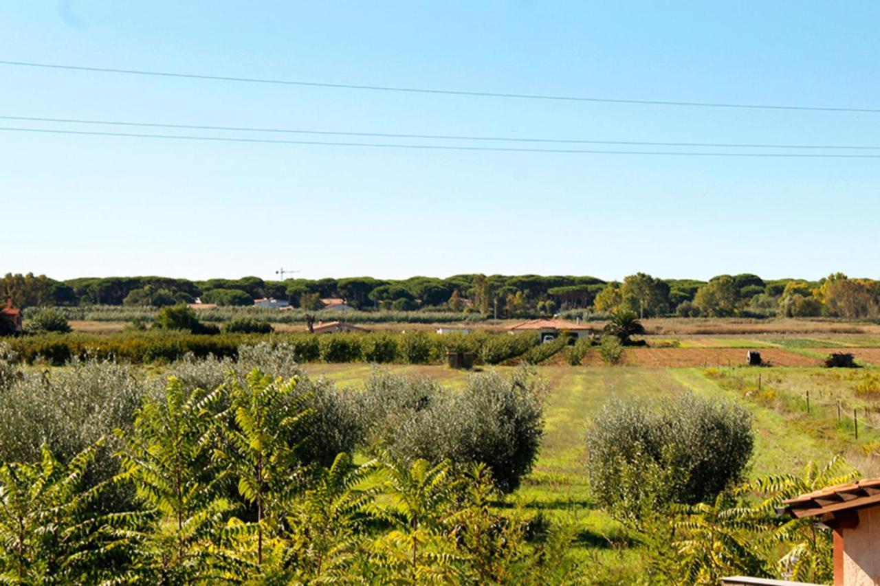 Apartmán Casa Andrea Castiglione della Pescaia Exteriér fotografie